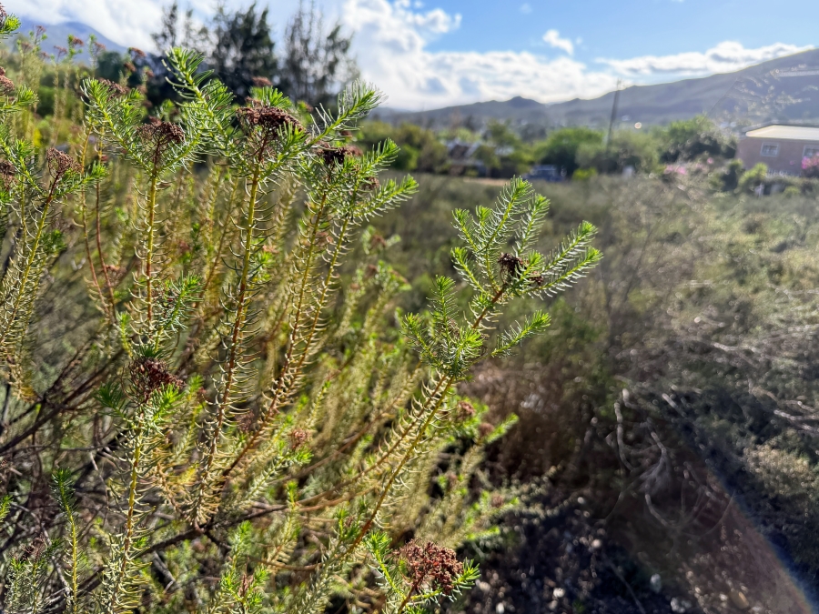 0 Bedroom Property for Sale in Barrydale Western Cape